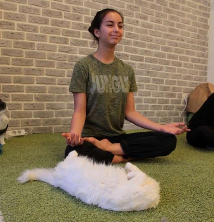 В казанском котокафе устроили йогу с котами