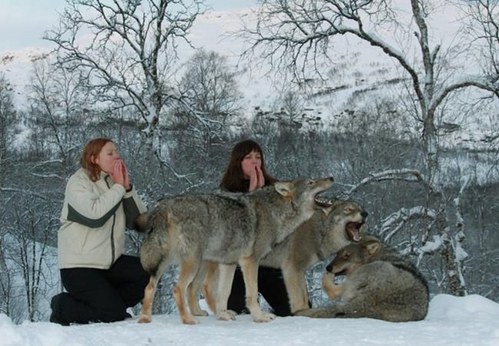 Удивительный парк, где можно обнять волка