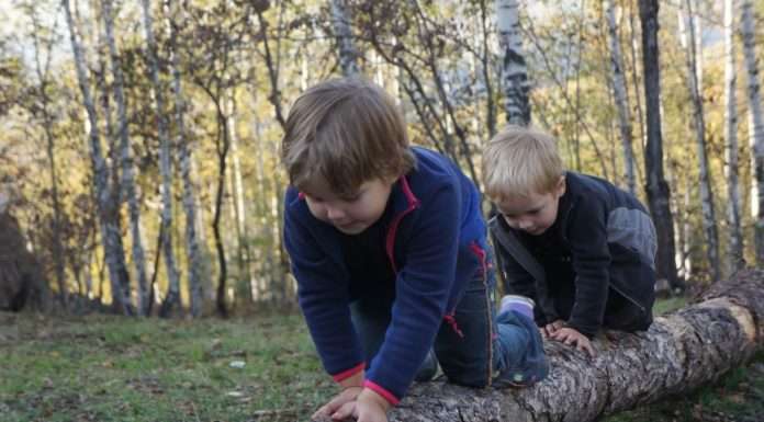 Справжня дружба — яка вона?