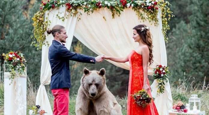 Незвичайні весілля та їх проведення