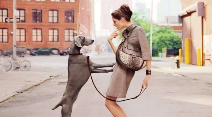 Ідеї для фотосесії