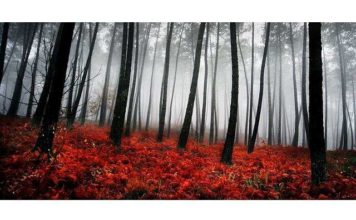 Пятниця 13-е: найстрашніші місця планети.