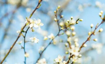 Як відпочиваємо в травні 2018 в казахстані