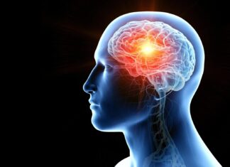 Нанокраплі, введені через ніс, знищують пухлини мозку у мишей