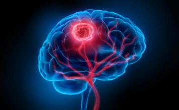 Виявлено походження раку мозку: клітини мутують за роки до виявлення