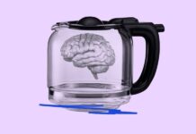 Más allá de la cafeína: cómo el café modula el eje intestino-cerebro