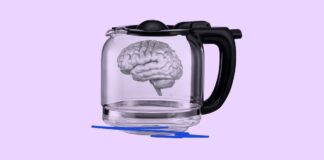 Más allá de la cafeína: cómo el café modula el eje intestino-cerebro